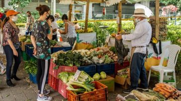 Habilitarán transporte gratis para el Mercado Campesino en Buenos Aires