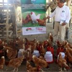 ICA declara cuarentena sanitaria en Córdoba por casos de influenza aviar