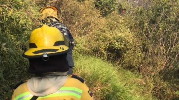 Incendio consumió vegetación en el cerro de Juan XXIII