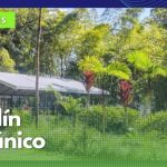 Jardín Botánico de la U. de Caldas hace parte de la estrategia Bioblitz del Instituto Humboldt