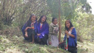 Juan Tama, la comunidad estudiantil indígena del Huila que reforesta su territorio.