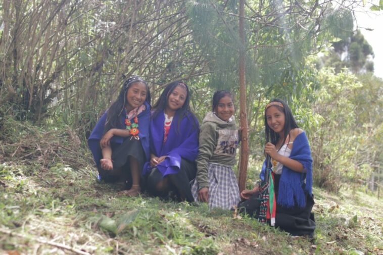 Juan Tama, la comunidad estudiantil indígena del Huila que reforesta su territorio.