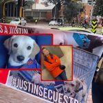 Justin, el perro que desapareció lo encontraron pero ahora «no lo quieren devolver», en Bogotá