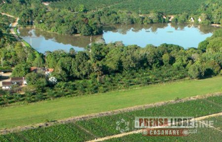 Minambiente acreditó como Negocios Verdes a empresas de mercado de carbono del Meta