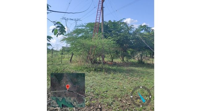 Robo de cables afectó servicio de energía en el Cerro San Antonio