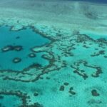 Arrecife de coral en Australia en blanco