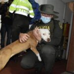 A la cana hombre que maltrató brutalmente a su perrita en el centro de Bogotá