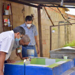 Acciones contra el dengue llegarán a barrios de Valledupar