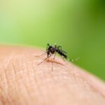 Alerta por brote de paludismo en Montería