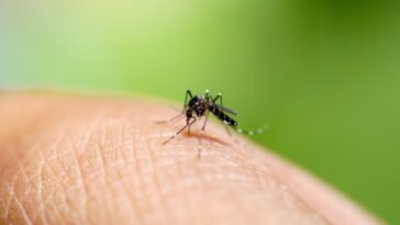 Alerta por brote de paludismo en Montería