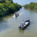 Cardique recuperó ambientalmente el Caño de Bazurto y Ciénaga de Las Quintas