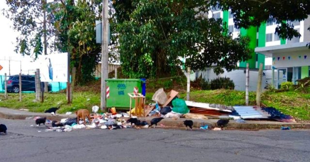 Ciudadanos reportan aumento y mal manejo de las basuras en Armenia