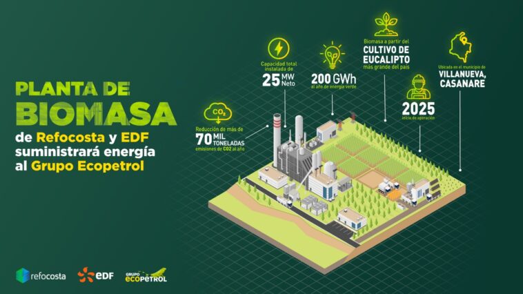 En Villanueva (Casanare)  Ecopetrol construirá  planta de generación de energía con biomasa