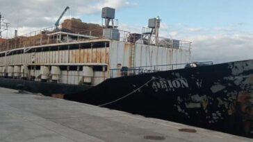 Hallan 4.500 kilos de cocaína en barco que llevaba vacas colombianas