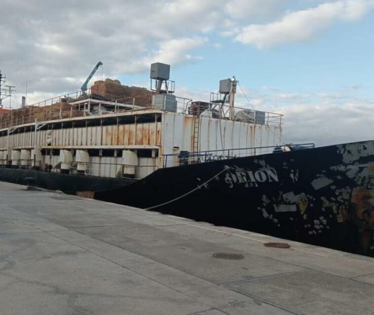 Hallan 4.500 kilos de cocaína en barco que llevaba vacas colombianas