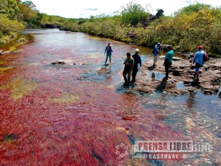 Impondrán fuertes multas por ingresar sin permiso a Caño Cristales