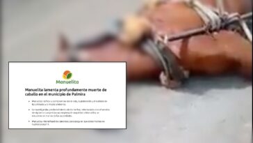 Ingenio salió en defensa del caballo muerto tras tiroteo en Palmira: investigan a vigilantes y denuncias por presunto robo