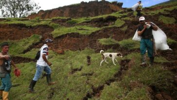 La papa, la lechuga y la carne ya están subiendo de precio en el Valle del Cauca