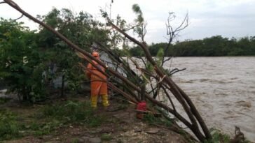 Lluvias de la madrugada causaron emergencias en Villavicencio