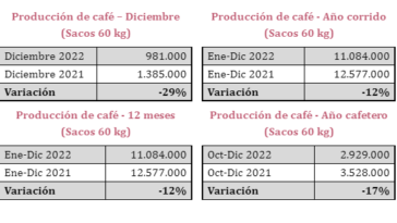 Producción anual de café de Colombia cierra 2022 en 11,1 millones de sacos