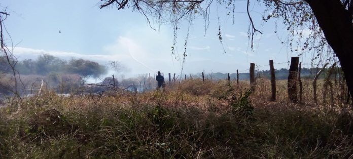 La quema en las cunetas en la vía que de Fonseca conduce al corregimiento de Conejo, podría estar generando incendios forestales.