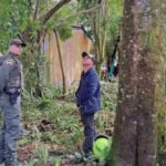 Quindío es el departamento con menor tasa de deforestación en Colombia