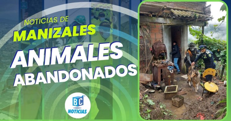 Rescataron a 19 animales abandonados en una finca de Manizales