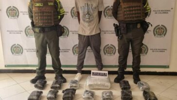 Transportaba 40 kilos de marihuana y fue capturado