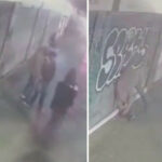 [VIDEO] ‘Accidente laboral’, atracador le dispara por error al compañero