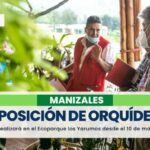 11 expositores engalanan la 17° Exposición Nacional de Orquídeas de Manizales