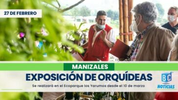 11 expositores engalanan la 17° Exposición Nacional de Orquídeas de Manizales