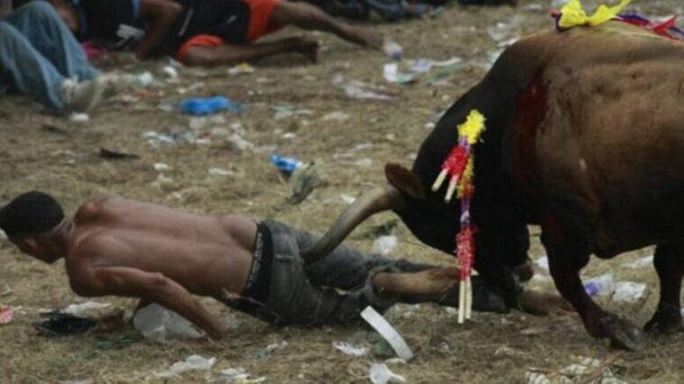 5 heridos y un caballo cornado deja primera tarde de toros en Cereté