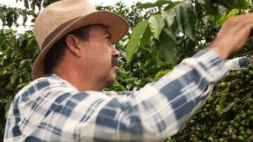 Actualmente, el sector del café ha permitido pasar de 84 empleos a más de 900