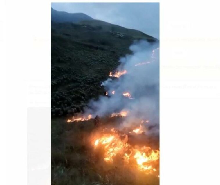 Alerta en Boyacá por incendio forestal que ha arrasado con más de 500 hectáreas