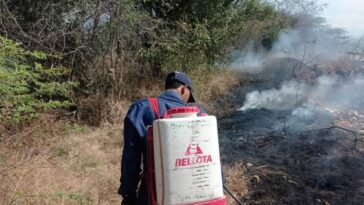 Los incendios forestales, un trabajo casi a diario de los Bomberos de Fonseca.