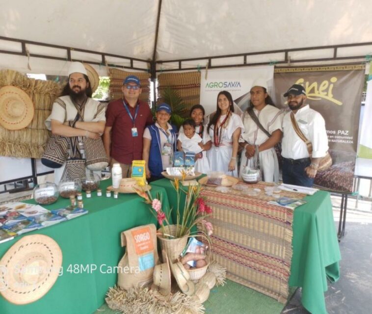 Arhuacos, primeros en obtener cosecha de fríjol biofortificado agroecológico