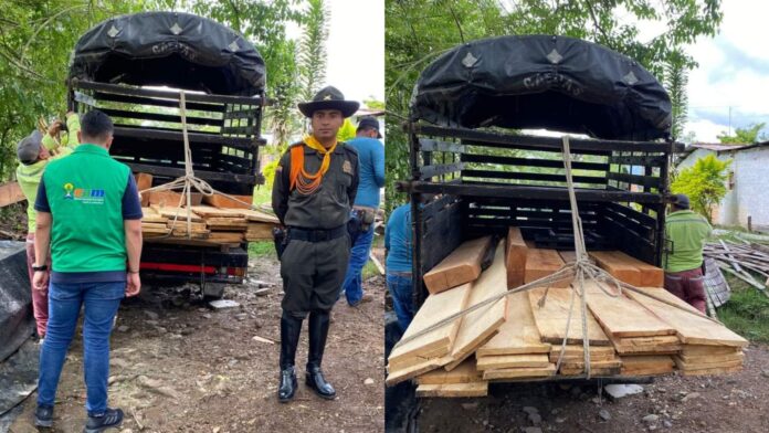 Autoridades ambientales incautan madera ilegal en El Agrado