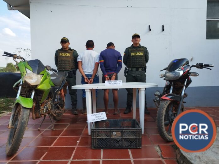 CAPTURADOS DOS HOMBRES QUE TENÍAN EN SU PODER NUEVE TORTUGAS GALAPAGAS PRESUNTAMENTE PARA CONSUMO HUMANO