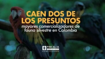 Caen dos de los presuntos mayores comercializadores de fauna silvestre en Colombia