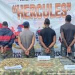 Los cuatro asegurados, presuntos integrantes de una disidencia residual, fueron capturados en un muelle del municipio de Olaya Herrera