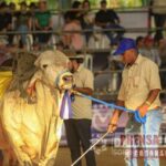 Con exitoso balance culminó Expo Llanos Casanare 2023