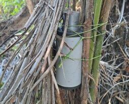 Destruidas minas antipersonales en Arauquita