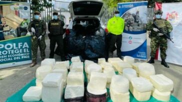 Dos capturados con 600 kilos de queso no apto para consumo e incautaron 4 toneladas de coco