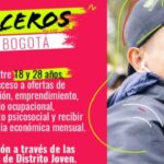 El lunes 27 de febrero hay jornada de preinscripciones de Parceros por Bogotá