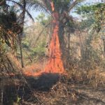 Emergencia en Santa Marta por incremento de incendios forestales