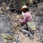En La Guajira, incendios forestales comprometen más de 400 hectáreas de tierra