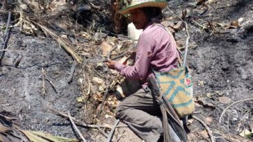 En La Guajira, incendios forestales comprometen más de 400 hectáreas de tierra