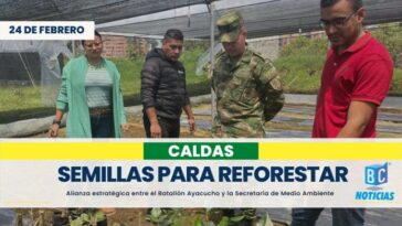 Entregan semillas para fortalecer actividades de reforestación en Caldas