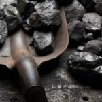 Extracción ilegal de flora silvestre: 60 bultos de carbón han sido incautados en Córdoba