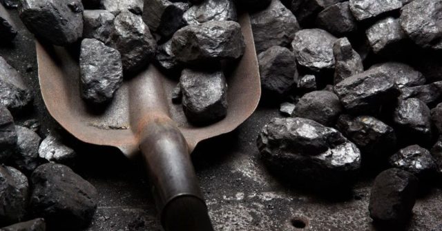Extracción ilegal de flora silvestre: 60 bultos de carbón han sido incautados en Córdoba